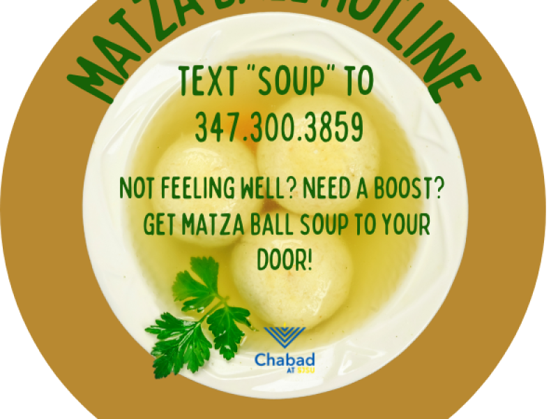 Matza Ball Soup